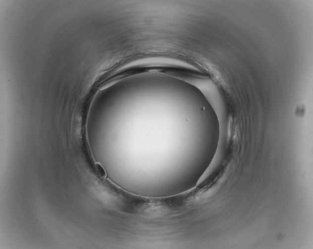 X0000091980589200709061356