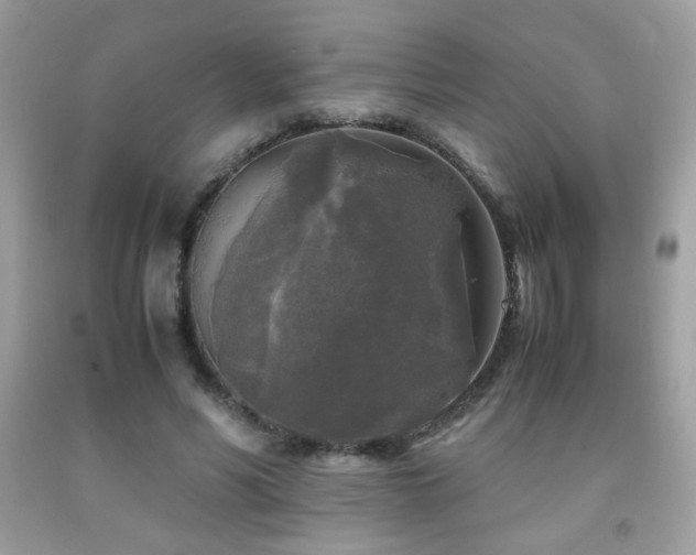 X0000091980590200709061356