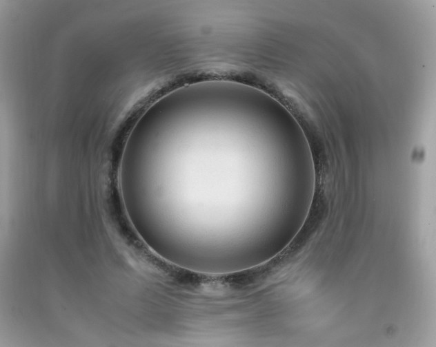 X0000091980591200709061356