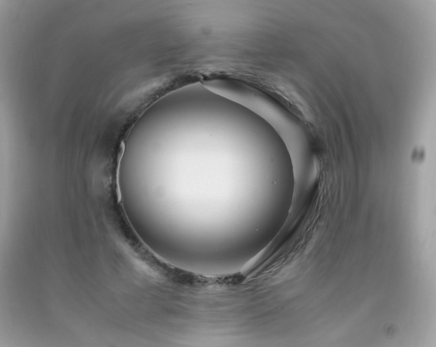 X0000091980593200709061356