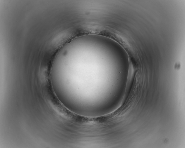 X0000091980594200709061356