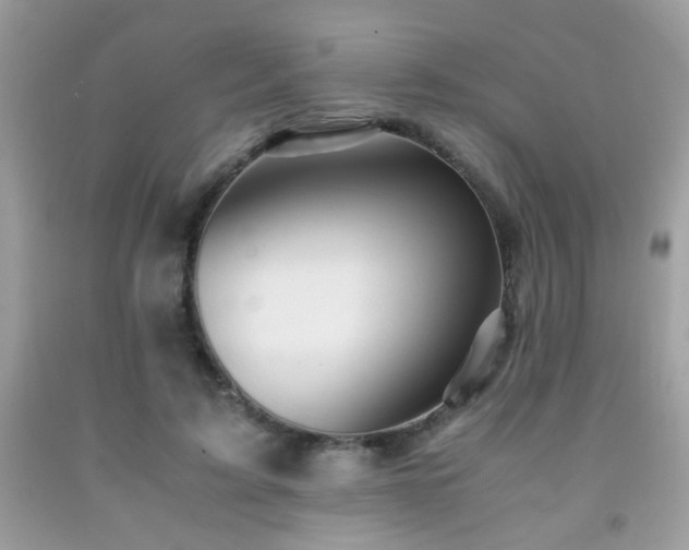 X0000091980595200709061356