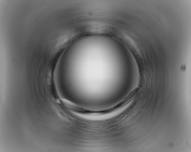 X0000091980596200709061356