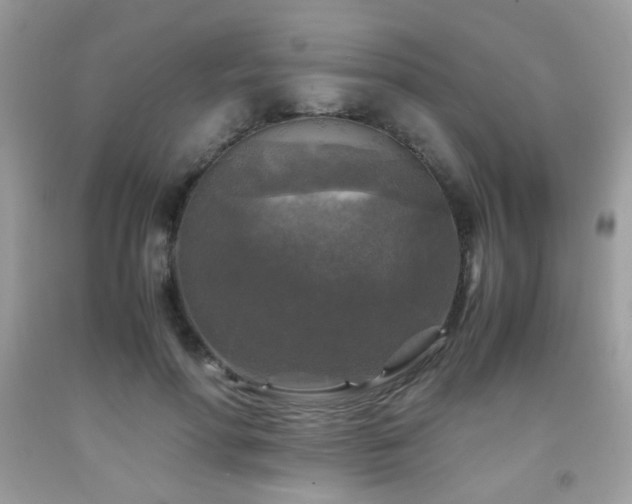 X0000091980598200709061356