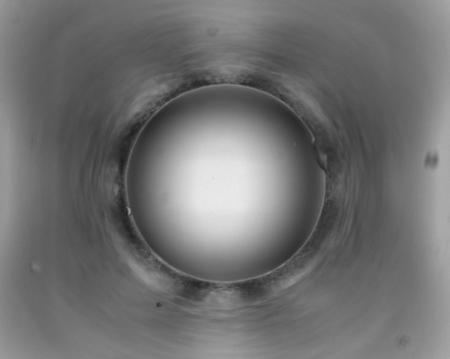 X0000091980599200709061356