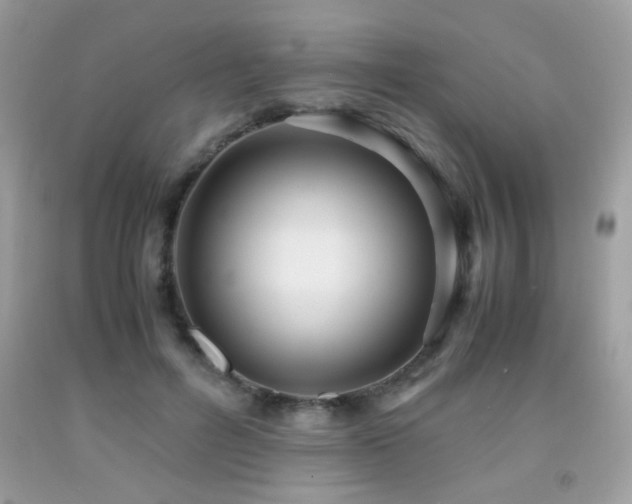 X0000091980600200709061356