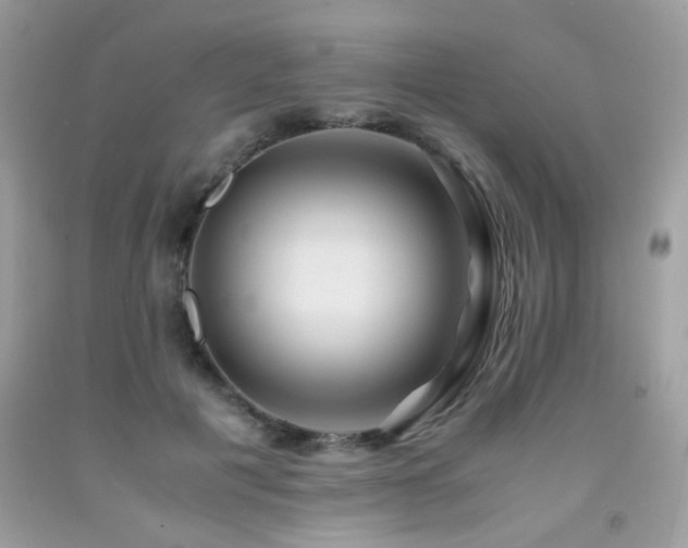 X0000091980601200709061356