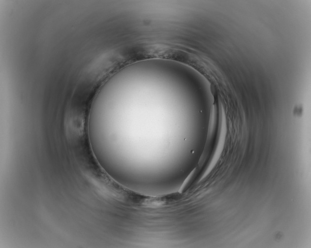 X0000091980602200709061356