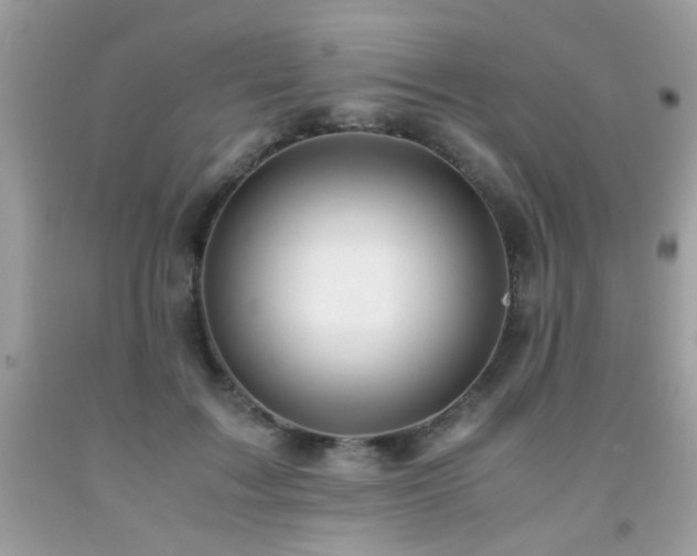 X0000091980603200709061356