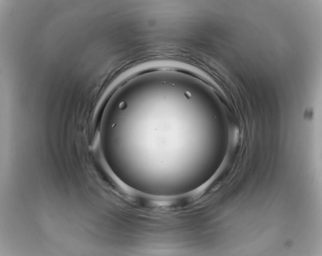 X0000091980604200709061356