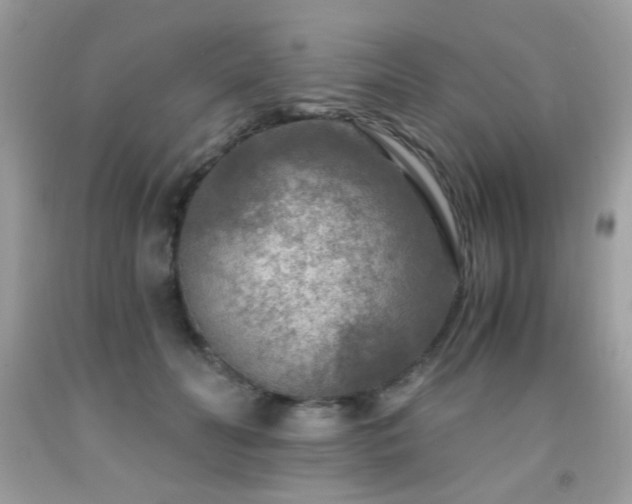X0000091980606200709061356