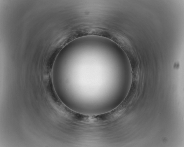 X0000091980607200709061356