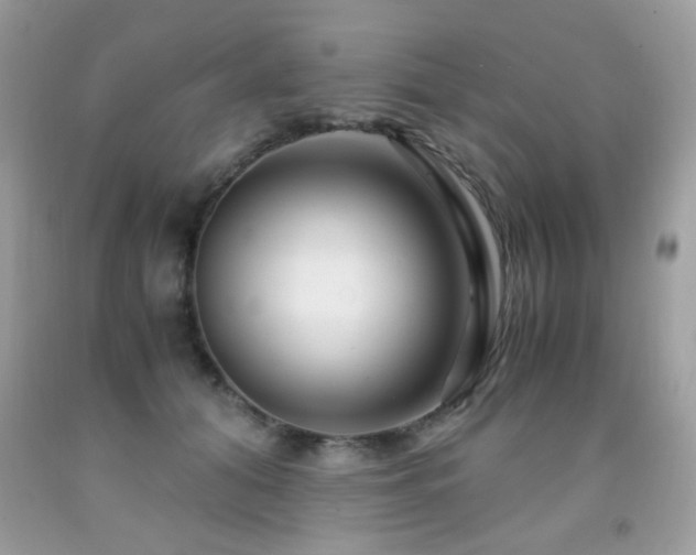 X0000091980608200709061356