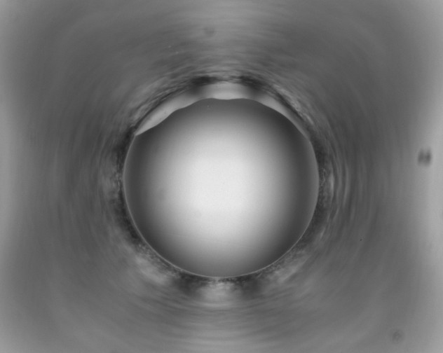 X0000091980609200709061356