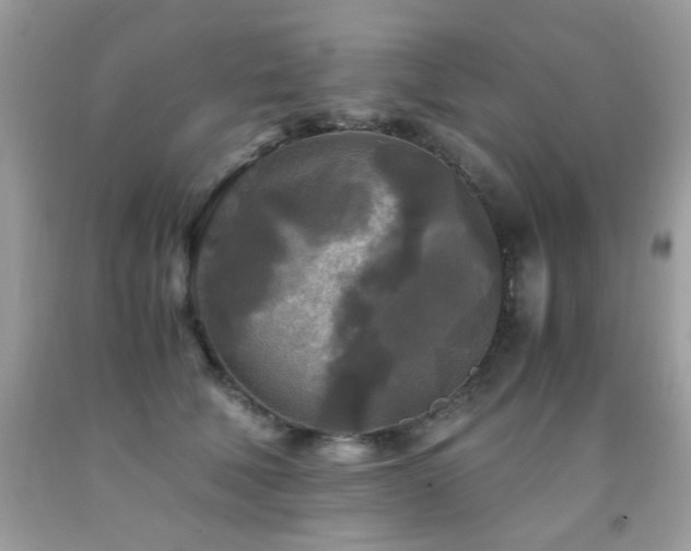 X0000091980610200709061356
