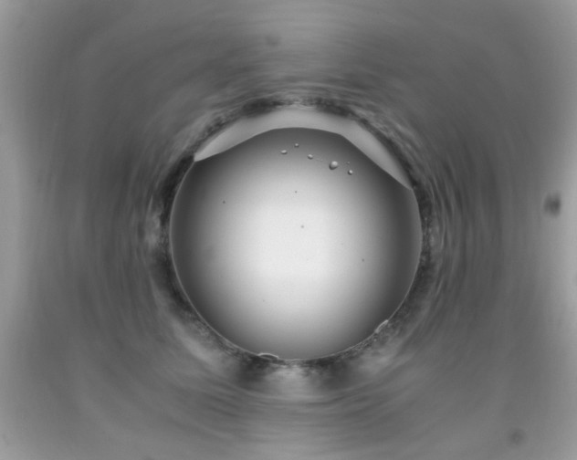 X0000091980611200709061356