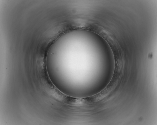 X0000091980612200709061356
