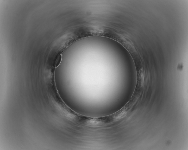 X0000091980614200709061356