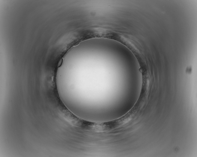 X0000091980615200709061356