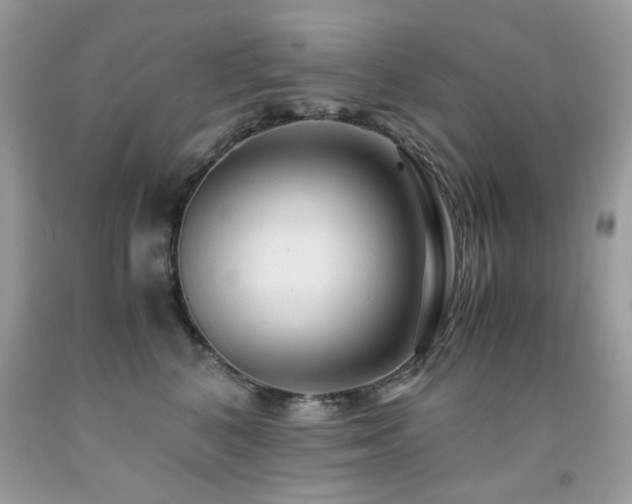 X0000091980616200709061356