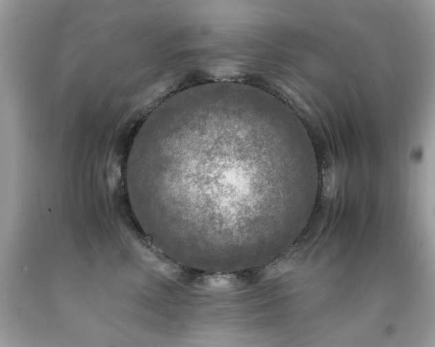 X0000091980618200709061356