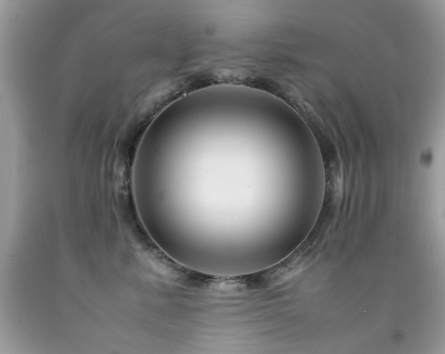 X0000091980619200709061356
