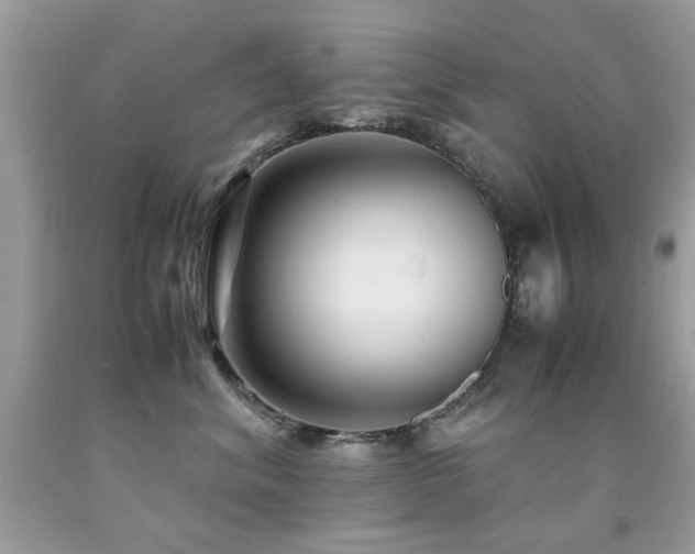 X0000091980620200709061356