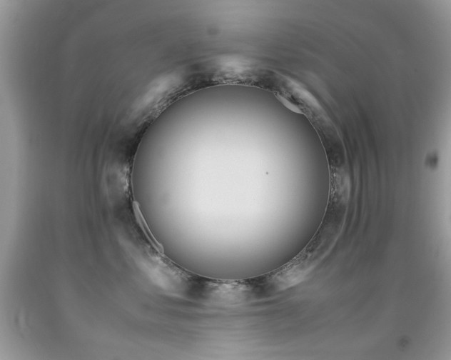 X0000091980621200709061356