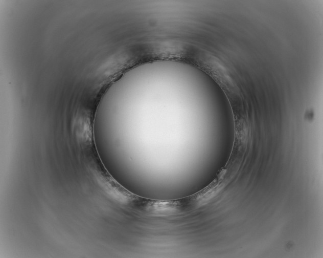 X0000091980622200709061356