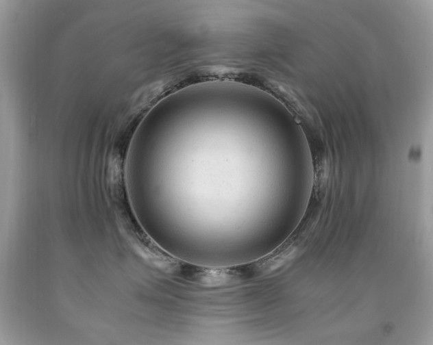X0000091980623200709061356