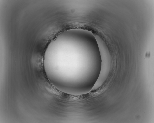 X0000091980624200709061356