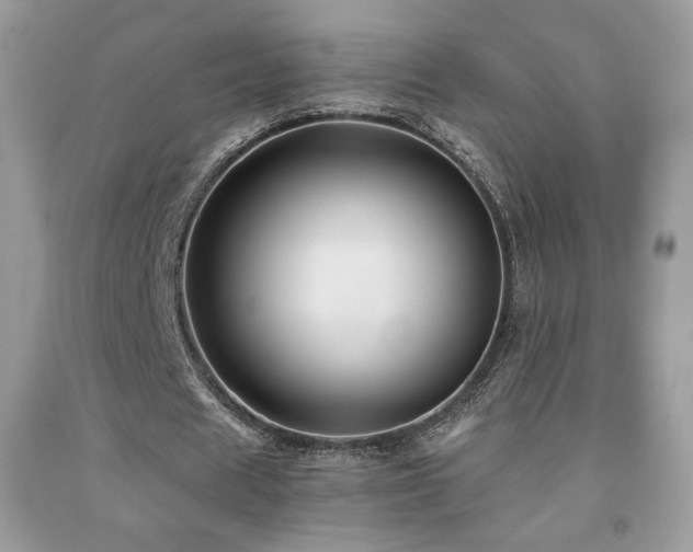 X0000091980625200709061355
