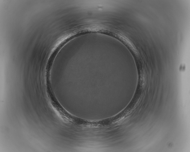 X0000091980626200709061355