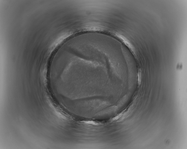 X0000091980627200709061355