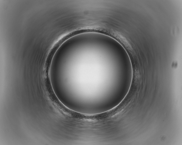 X0000091980628200709061355