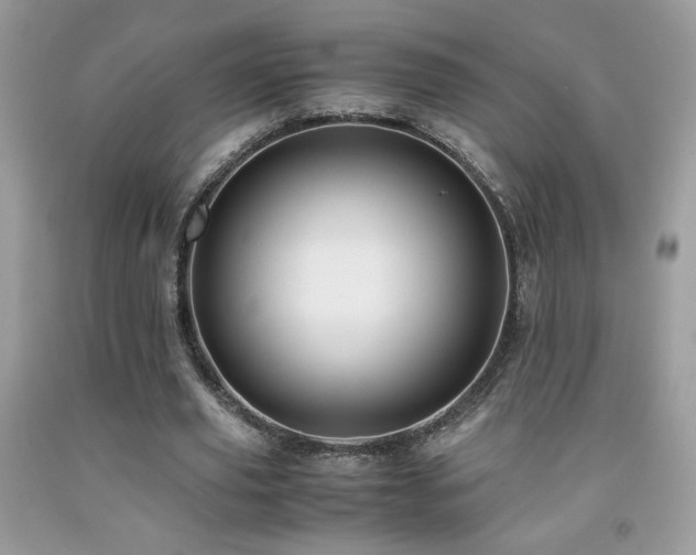X0000091980629200709061355