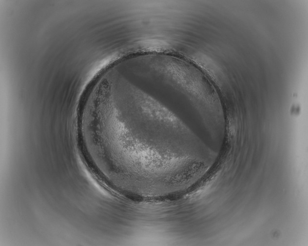 X0000091980630200709061355