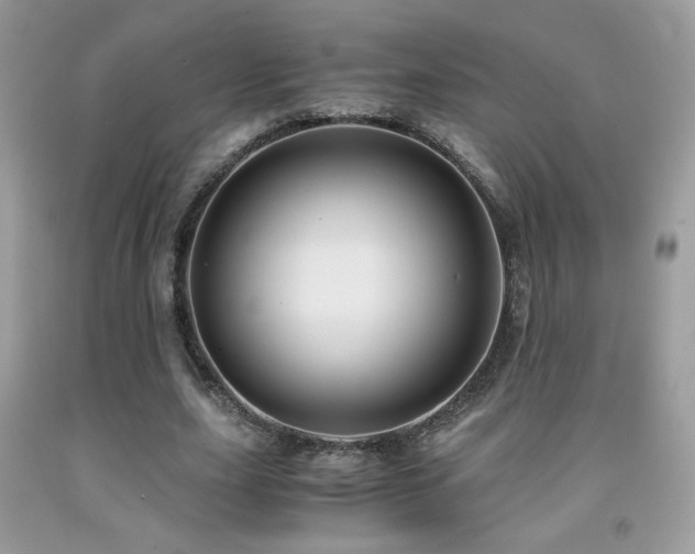 X0000091980631200709061355