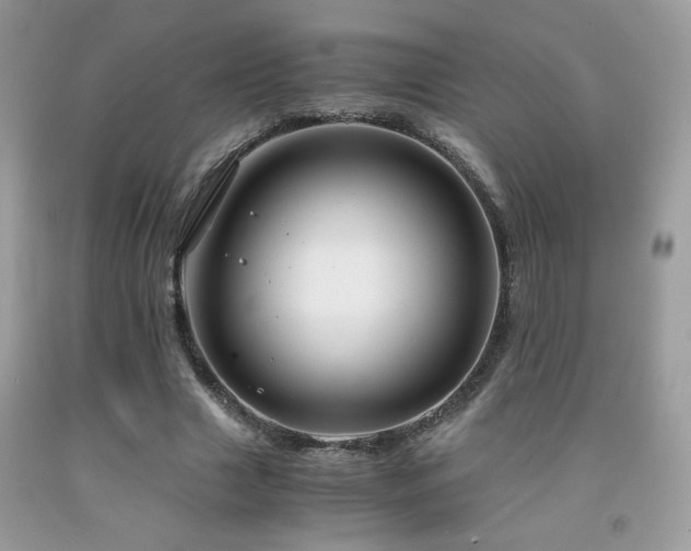 X0000091980633200709061355