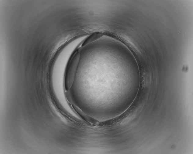 X0000091980634200709061355