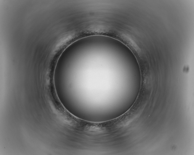 X0000091980635200709061355