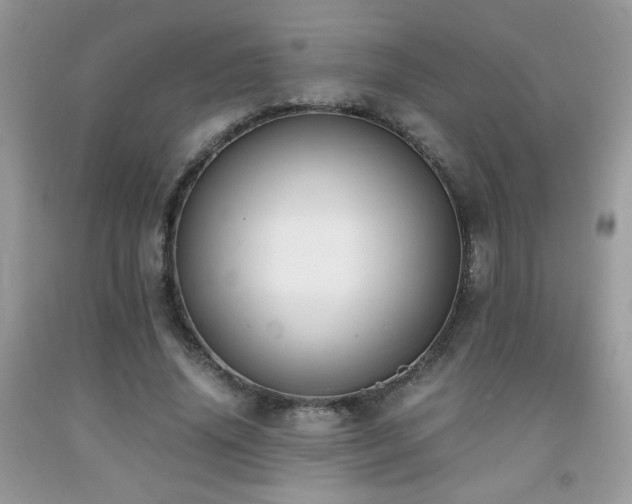 X0000091980636200709061355