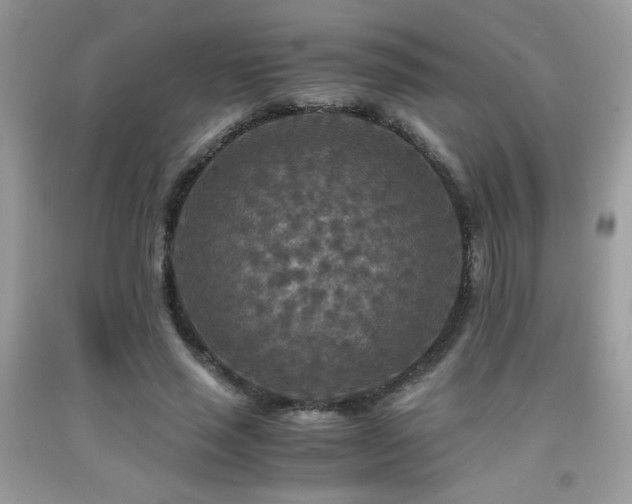 X0000091980637200709061355
