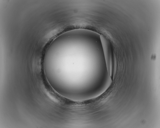 X0000091980638200709061355