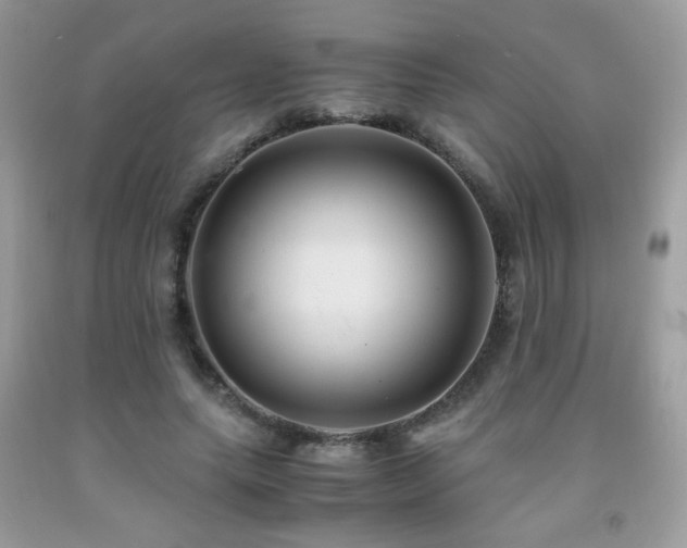 X0000091980639200709061355