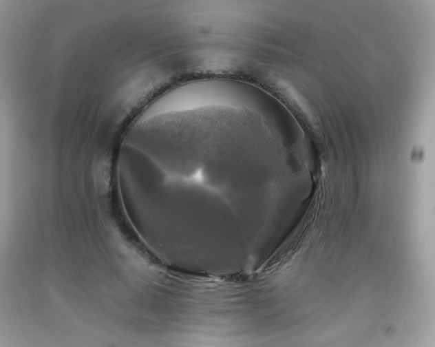 X0000091980640200709061355