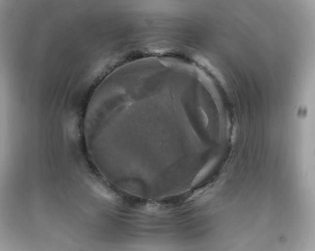 X0000091980641200709061355