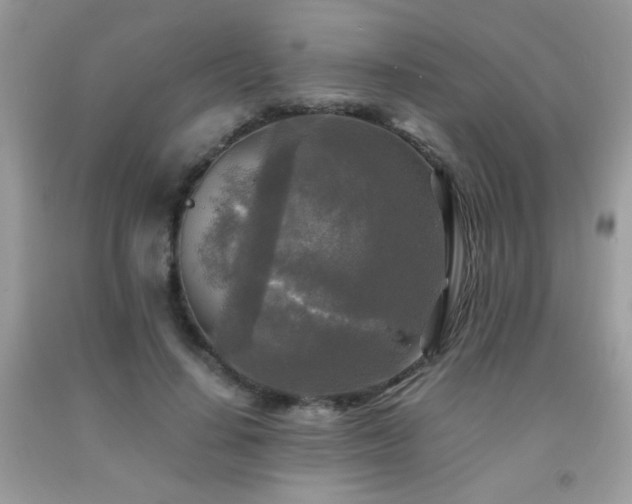 X0000091980644200709061355