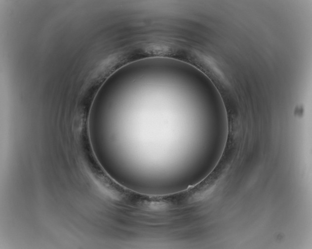 X0000091980645200709061355