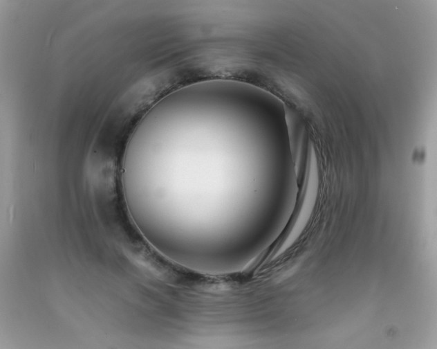 X0000091980646200709061355